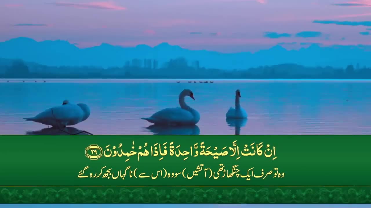 Surah Yasin ( Yaseen ) with Urdu Translation | Quran Tilawat Beautiful Voice | Urdu Tarjuma