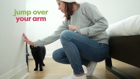 Basic cat training , very easy to your cat train