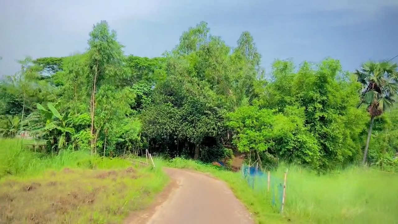 Beautiful village road view