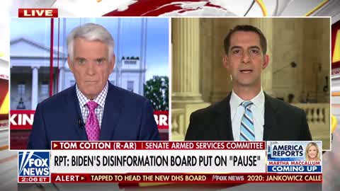 Sen. Cotton: Disinformation Board ‘Paused’ Because American People Found Out About It