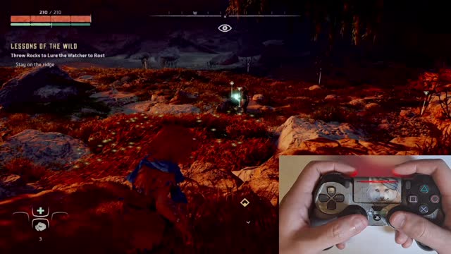 Horizon Zero Dawn Hunting and Gathering With Aloy