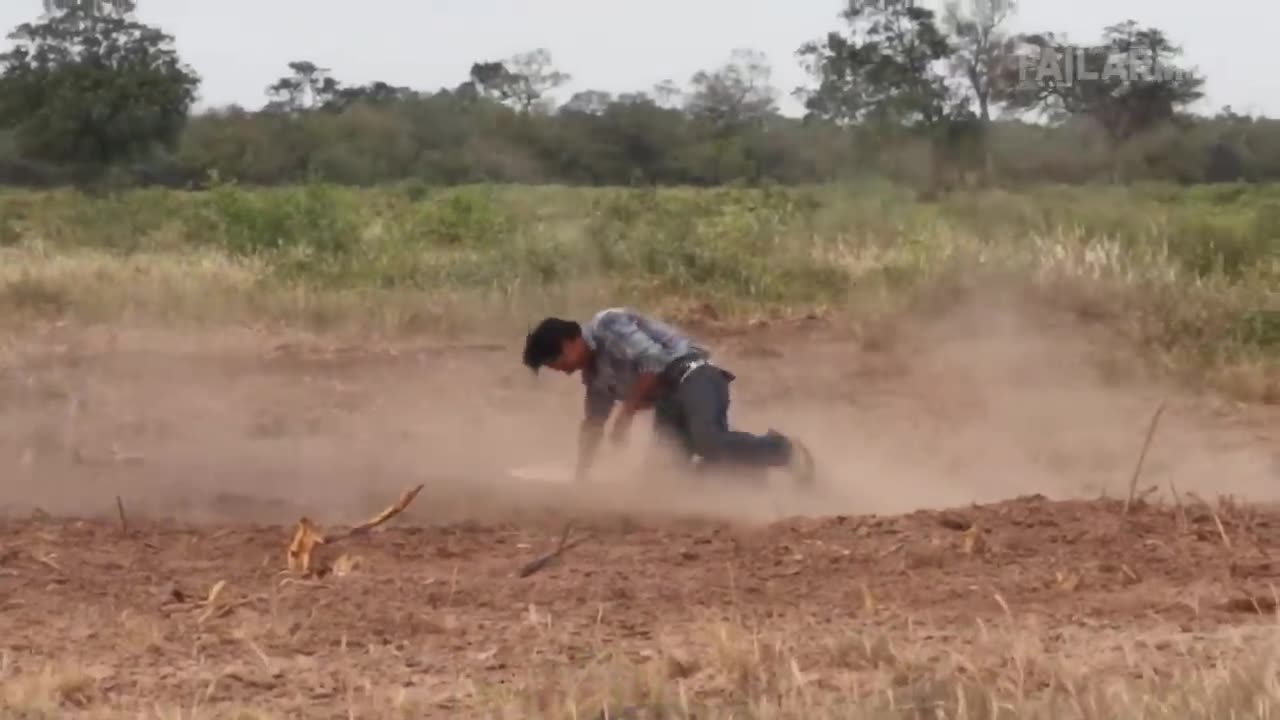 Epic Animal Fails | Mess Around and Find Out