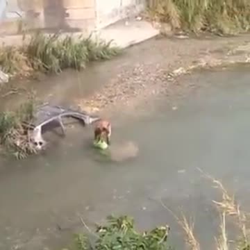 video de agua potable