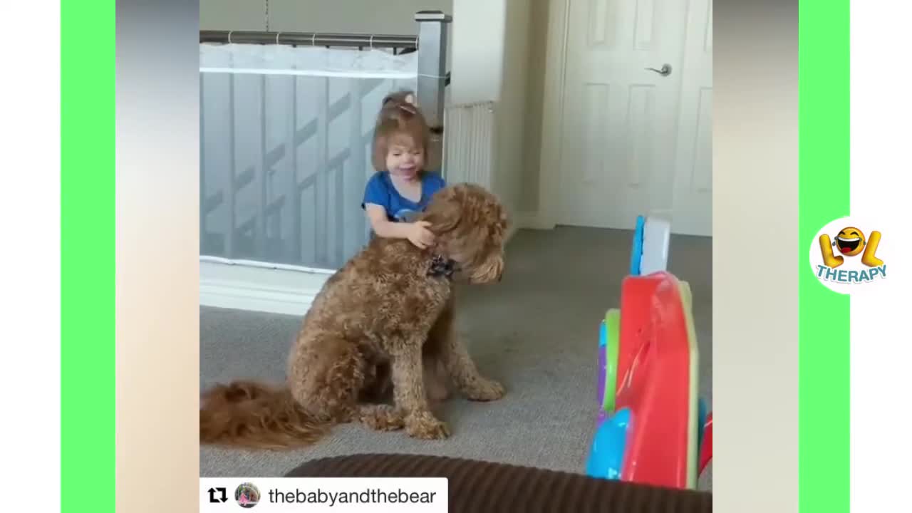 Babies Laughing Hysterically at Dogs Cute