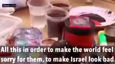 Palestina Manipulation