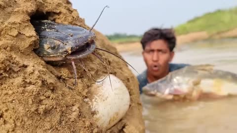 Animals daily life fishing