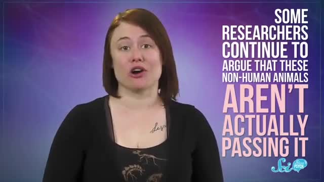 Sci show mirror test debunked