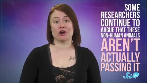Sci show mirror test debunked