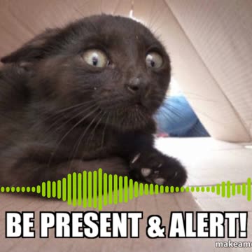 dotpaw - The PRESENT [Time trilogy (2)]