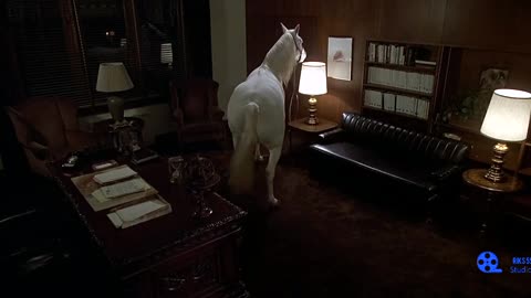 animal house 1978 horsing around