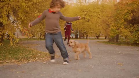 Playful kids running with dog on autumn street