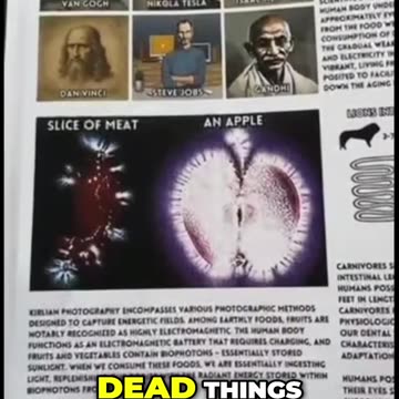 Why Eating Fruits Boosts Your Energy: The Vegan Advantage