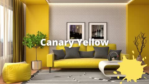 CM infographics bold paints