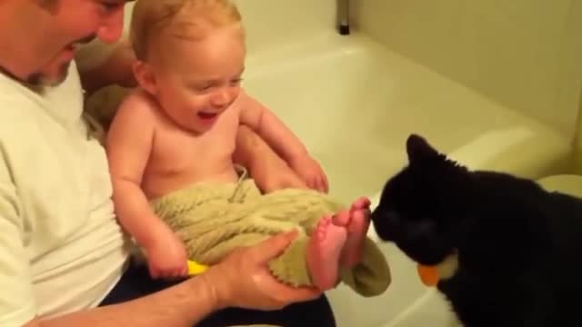 Funny Babies Laughing Hysterically at Cats Compilation