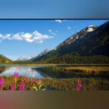 Nature photography 🌿