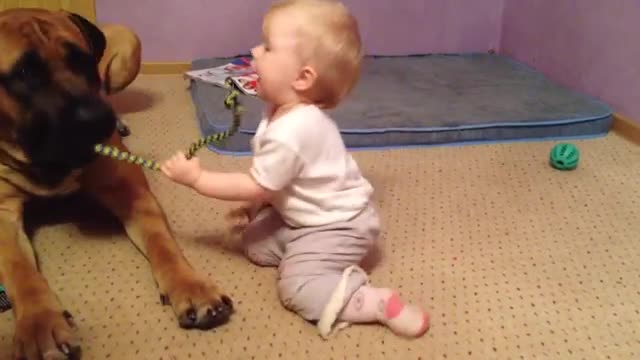 Baby playing with dog, so cute