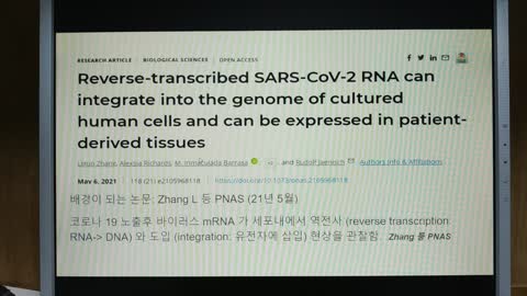 백신 후 간세포내 역전사 현상 관찰 논문