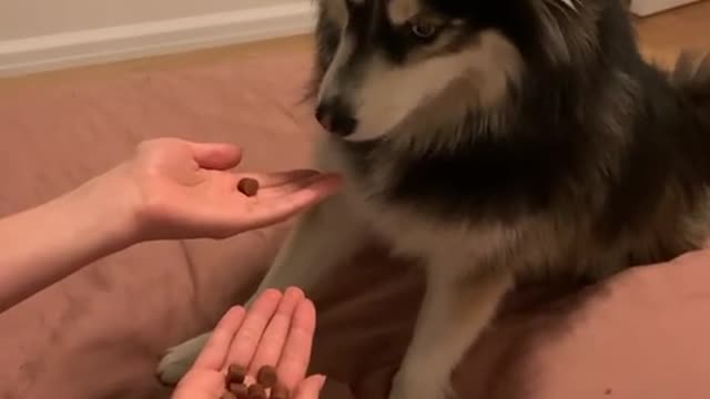 he doesn't know what to do