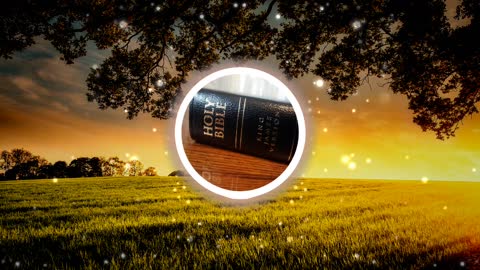 Holy Bible Exodus chapter 23