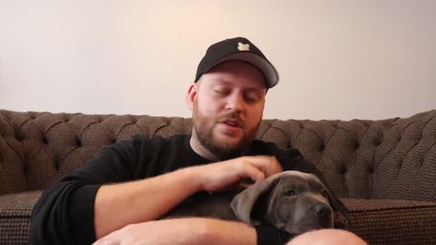 CANE CORSO PUPPY! The BEST Things About New Puppies!