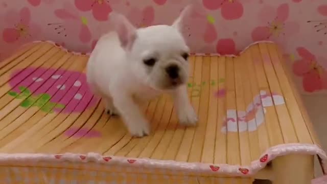 Make sure you see it to the end
