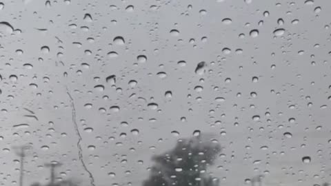 Precious🐱 🌧️