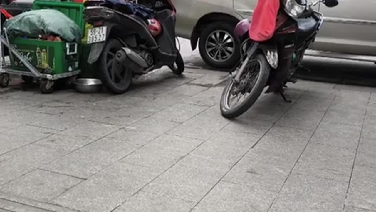 fatty demon pig - 2024 - October 2nd part 001