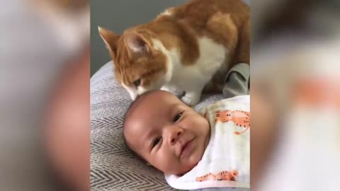 Funny Pet with baby 🍼 😂