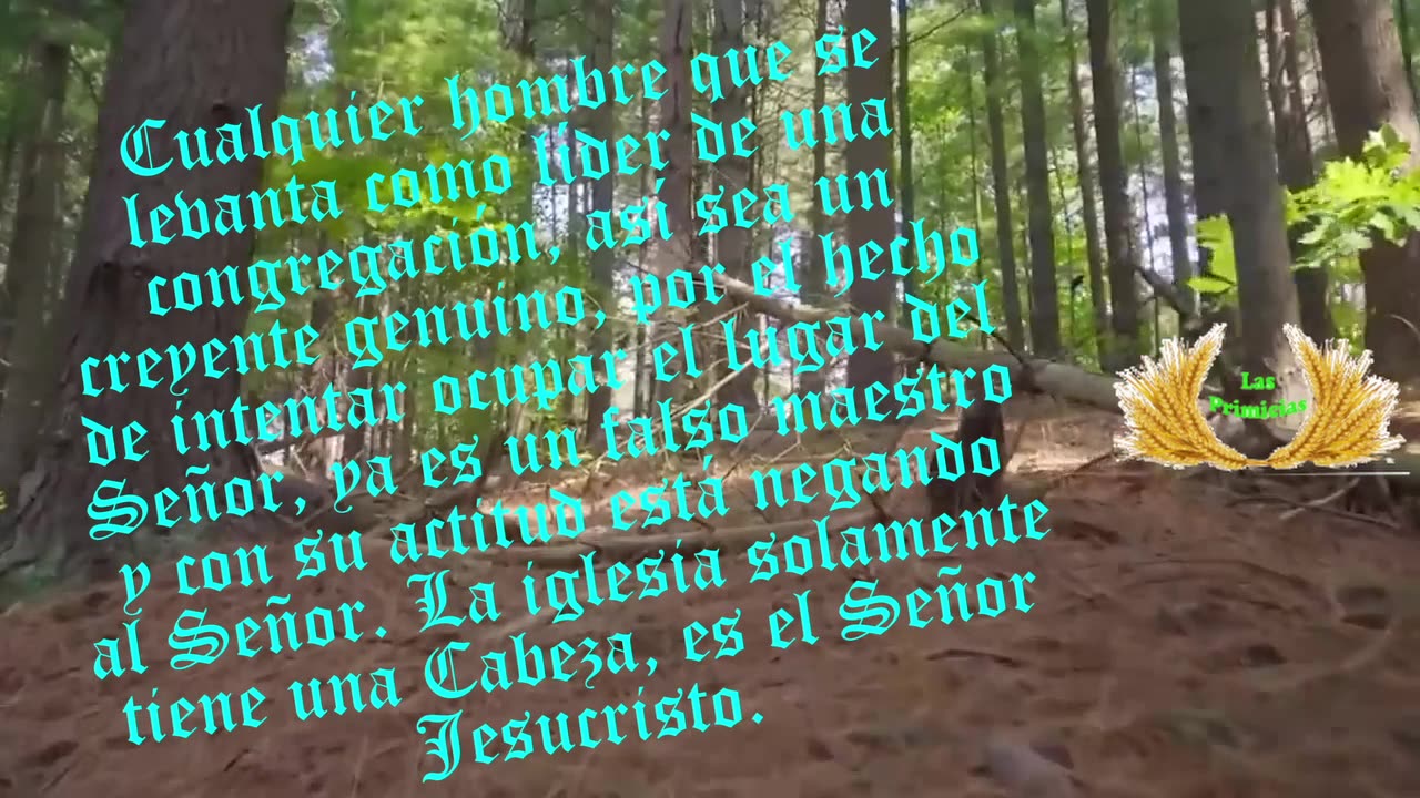 Capítulo 22 - Falsos profetas, falsos maestros y falsos cristos (1/2)