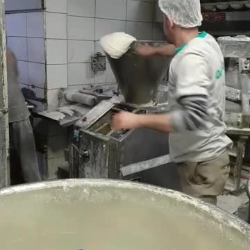 funny|prank|jokes|funny jokes|dad jokes|funny memes|funny video|fun|laughing|funny animal|knock