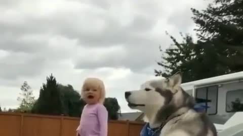 the dog screams with the girl