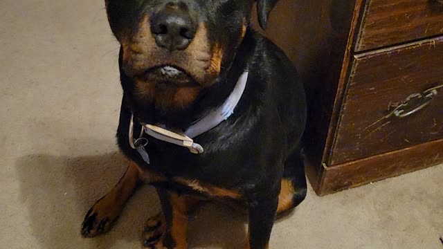 Who does Ranger love