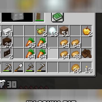 The Thrill of Farming in Minecraft: My Journey to Self-Sufficiency