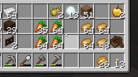 The Thrill of Farming in Minecraft: My Journey to Self-Sufficiency