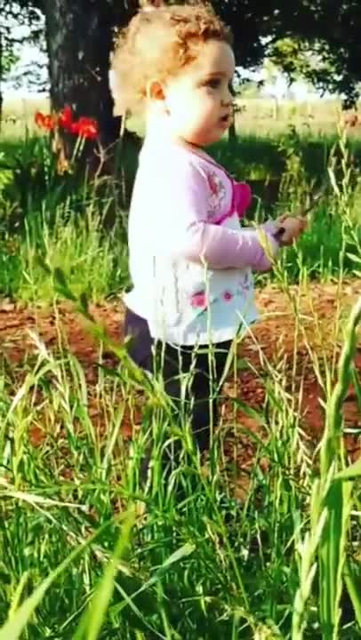 NA ROÇA COM MARIA CECILIA - SONS DA NATUREZA