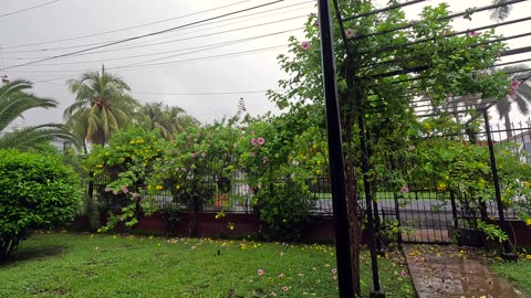 Lawn and Pergola in the Rain in Nicaragua