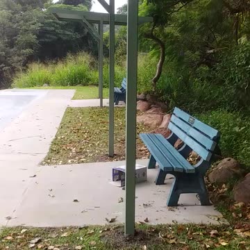 1.8.2024 Kuranda Skate Park