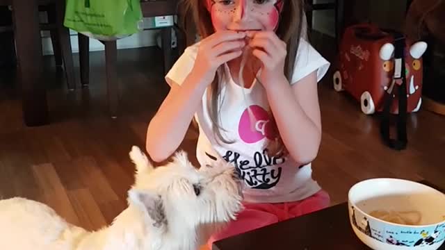 White terrier stealing spaghetti from girl in spiderman mask