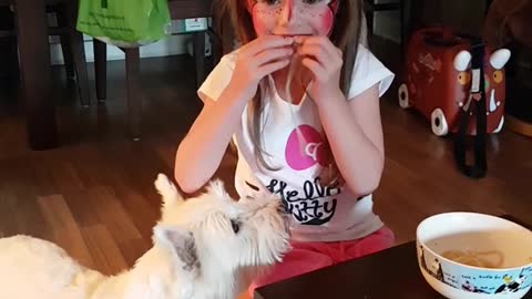 White terrier stealing spaghetti from girl in spiderman mask