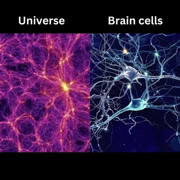 #NatureAndSpace #CosmicWonders #PlanetEarth #NatureOfTheUniverse #stem #space #biology #science