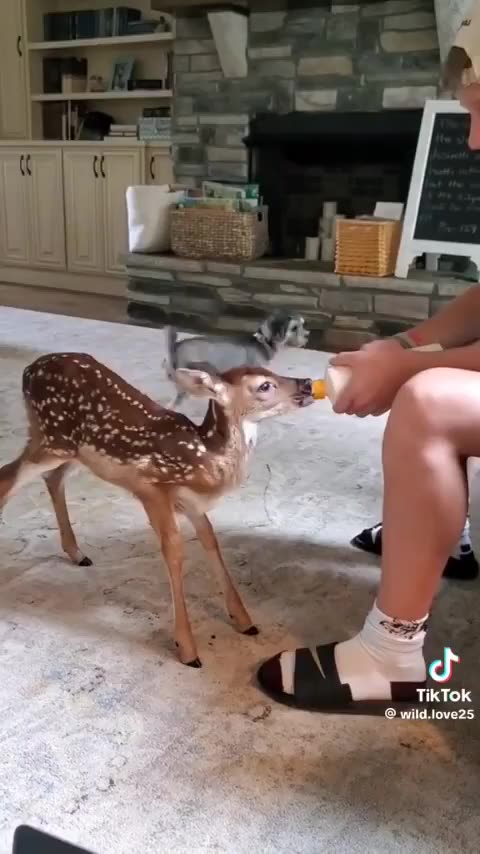 LOVE IS THE GREATEST POWER IN THE UNIVERSE