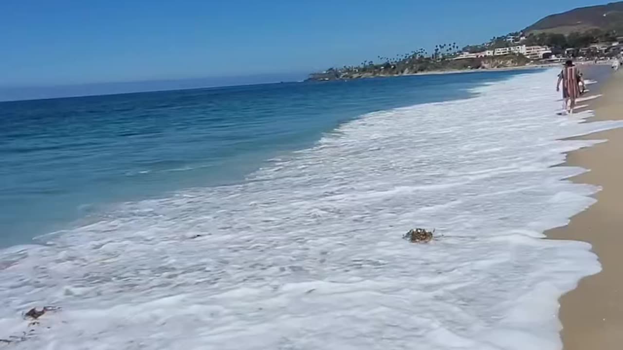 Beautiful Day Beach Walk.