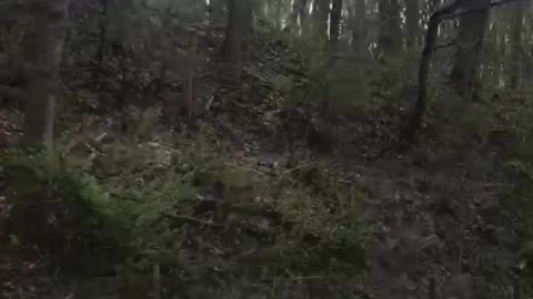 Natural place is the best :)