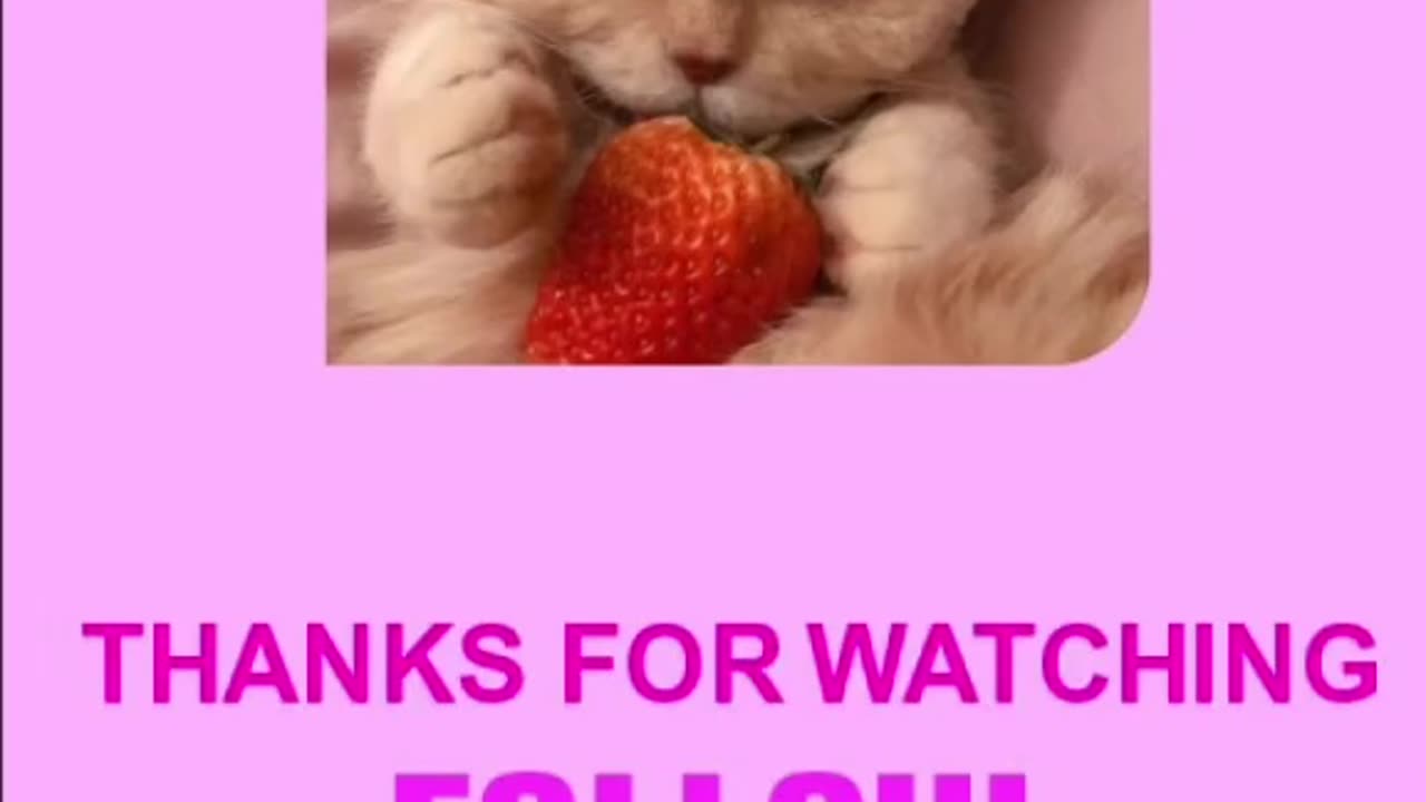 remember to wash your turkey!