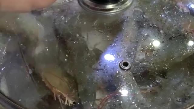 Shrimp being cooked