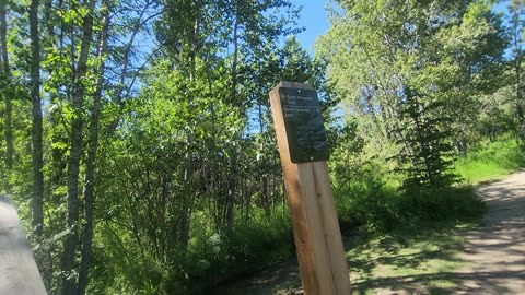 Big Spring Natural Water Fall Tour Near Calgary Canada