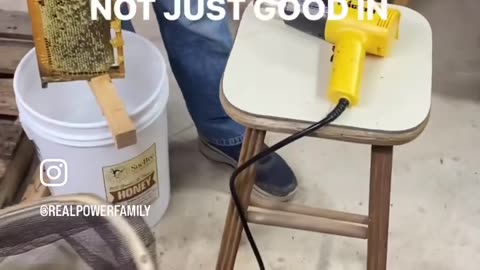 Honey Extraction day