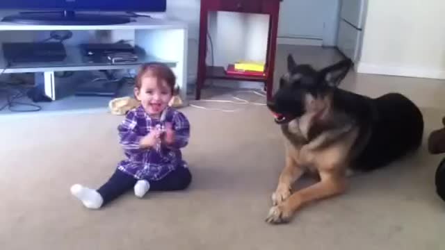 Baby Girl Plays Fetch with a German Shepherd