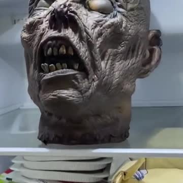 funny|prank|jokes|funny jokes|dad jokes|funny memes|funny video|fun|laughing|funny animal|knock