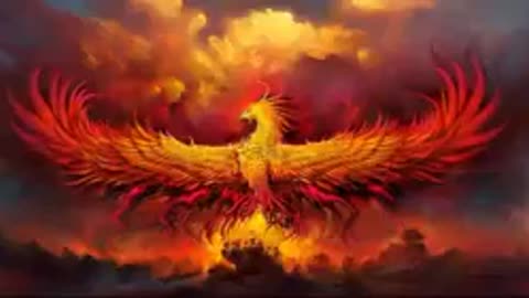 Trunks do Futuro - Divorciados e esquecidos